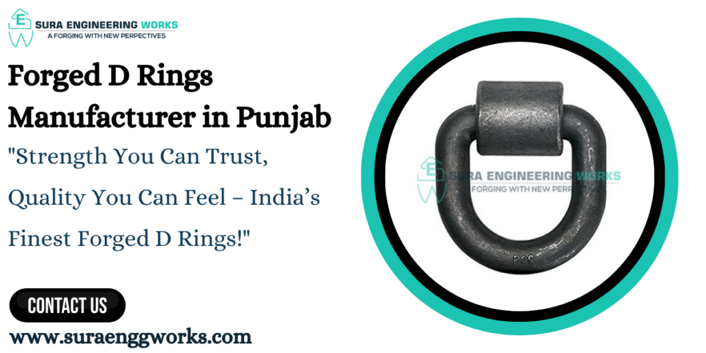 Forged D Rings Manufacturer in Punjab